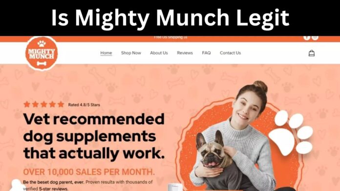 Is Mighty Munch Legit