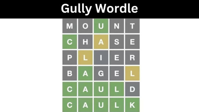 Gully Wordle
