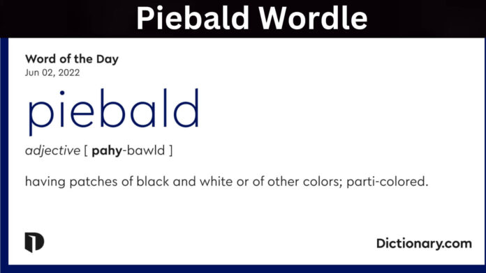 Piebald Wordle