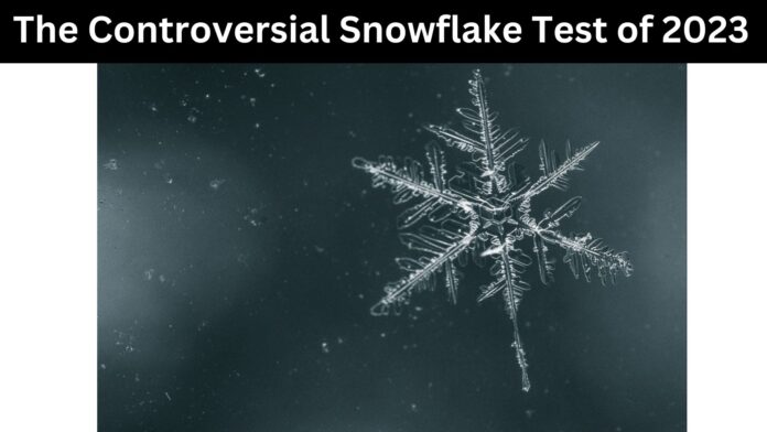 The Controversial Snowflake Test of 2023