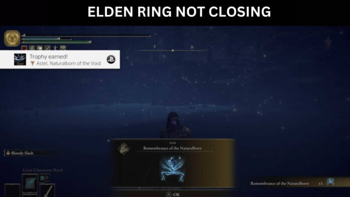 ELDEN RING NOT CLOSING