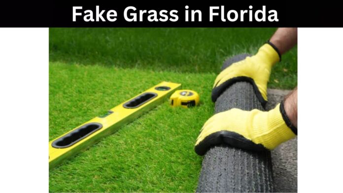Fake Grass in Florida