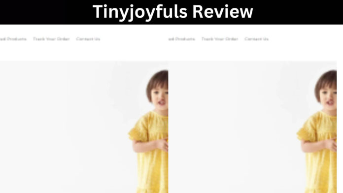 Tinyjoyfuls Review